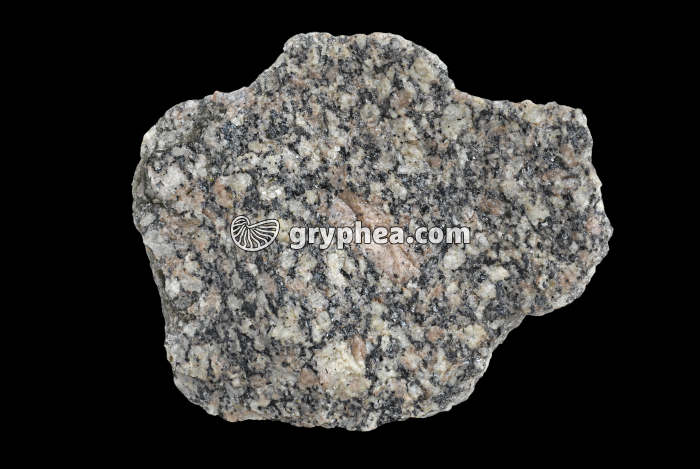 Granite sain non altéré - échantillon entier (Flamanville, Manche) - gryphea.com